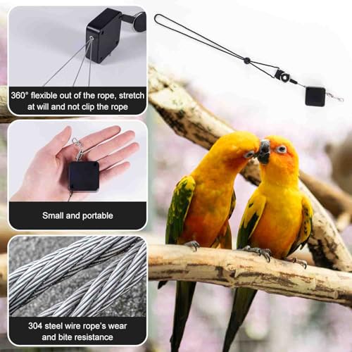 Einziehbar Vogel Leine, 2m Vogel Geschirr mit 3 Fußringen Sittich Fluggeschirr Papageien Leine Outdoor Flugtrainingsset für Nymphensittiche Wellensittiche Sittiche (Schwarz)
