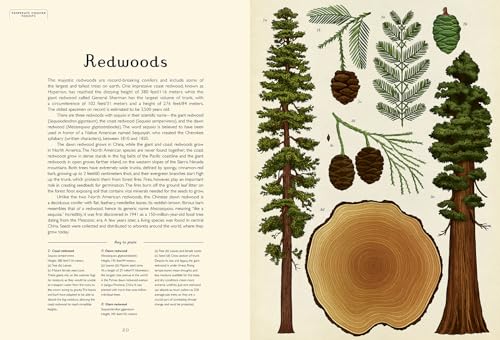 Arboretum: Welcome to the Museum - Image 2