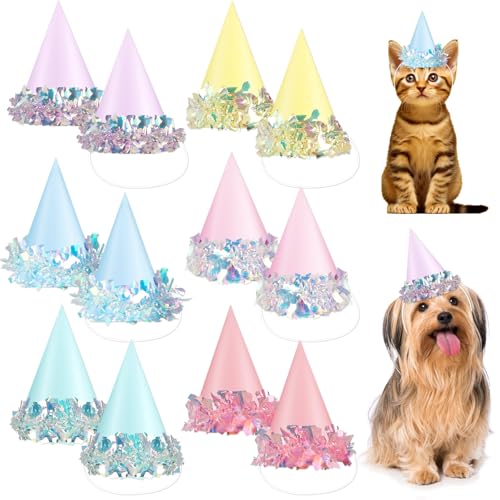 Chapeau d'anniversaire pour chat irisé, lot de 24 pièces légères et stables