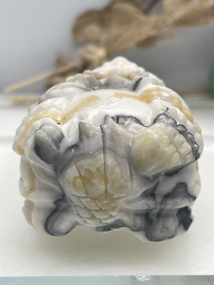 もぅ様9【1953】羽根龍亀 カルサイト もぅ様9【1953】羽根龍亀 カルサイト もぅ様9【1953】羽根龍亀