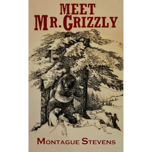 Meet Mr. Grizzly by Montague Stevens episode artwork