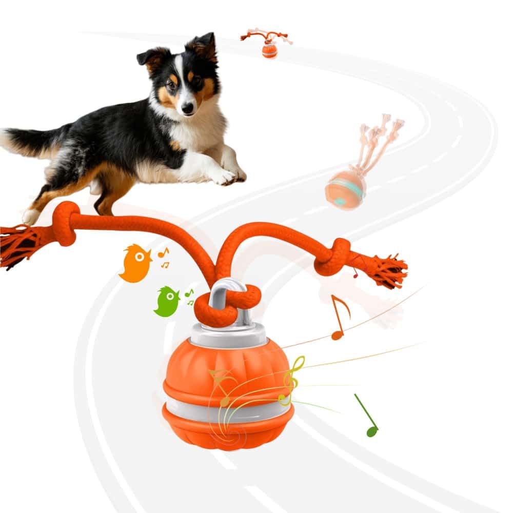 OYSMY Interactive Dog Toys, Squeaky Dog Toys, Active Rolling Ball for Puppy and Medium Dogs, Squeaky, USB Rechargeable (Orange)
