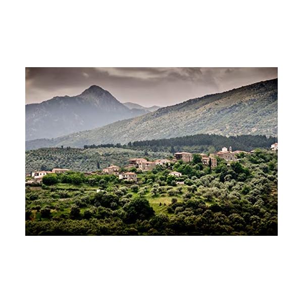 Ancient-Foods--Organic-Greek-Extra-Virgin-Olive-Oil-Cold-Pressed--1000-Year-Old-Trees--High-Phenolic-Chefs-Favorite-Mountain-Keros-101oz-3L Ancient Foods Keros Greek Organic Extra Virgin Olive Oil – Cold Pressed Olive Oil from Greece, High Phenolic Organic Olive Oil from 1000 Year Old Trees, New Harvest for 2023 (101oz, 3L)