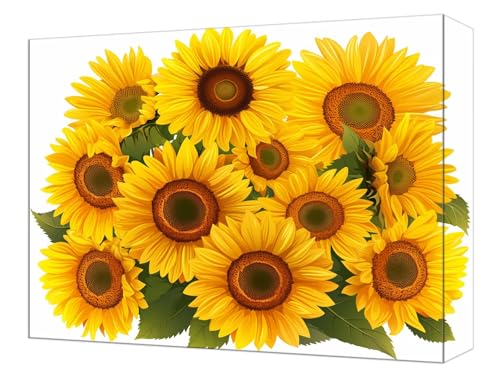 Peinture par Numéro Tournesol 50x65cm avec pinceaux et acrylique pour activité manuelle adulte