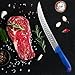 Plys Cuchillo Jamonero Profesionales 26cm: Cocina Cuchillo Carnicero Acero Inoxidable Puntilla Cuchillo Deshuesador Imagen de Plys Cuchillo Jamonero Profesionales 26cm: Cocina Cuchillo Carnicero Acero Inoxidable Puntilla Cuchillo Deshuesador