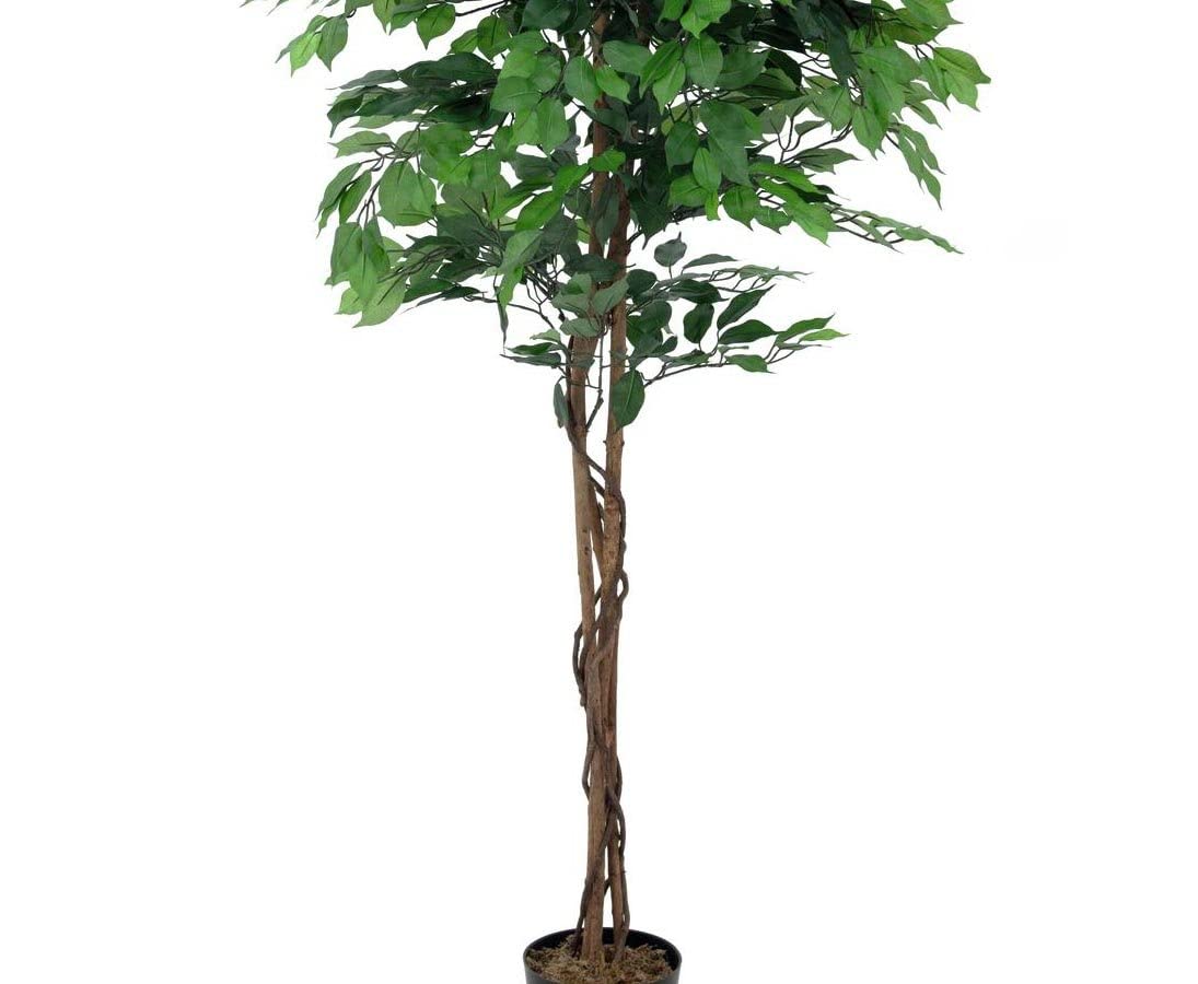 mini olivenbaum knstlich Knstlicher Olivenbaum | 160 cm