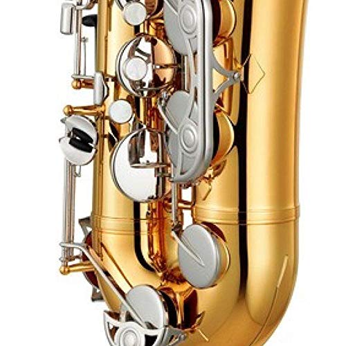 Saxofone Tenor Yamaha YTS26 com Afinação em Sí Bemol acabamento Laqueado Dourado e Apoio de Polegar