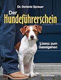 Der Hundeführerschein: Lizenz zum Gassigehen