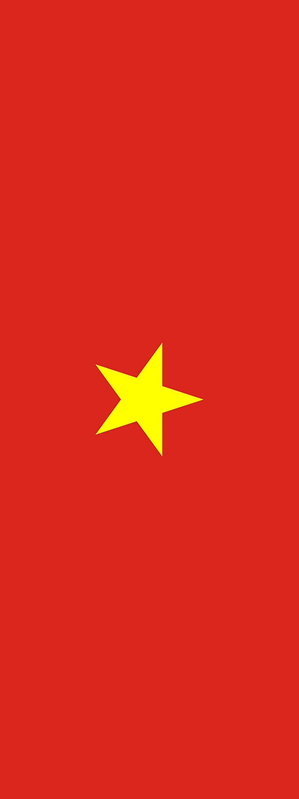 Drapeau Viêt Nam 6m² pavillon vertical 400x150cm pour mât extérieur haut