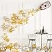 HORUIUS Champagne Bottle Balloons Champagne Glass Balloon Mylar Foil Balloons Birthday Engagement Bachelorette Party Bridal Shower Wedding Celebration Anniversary Decorations 4PCS