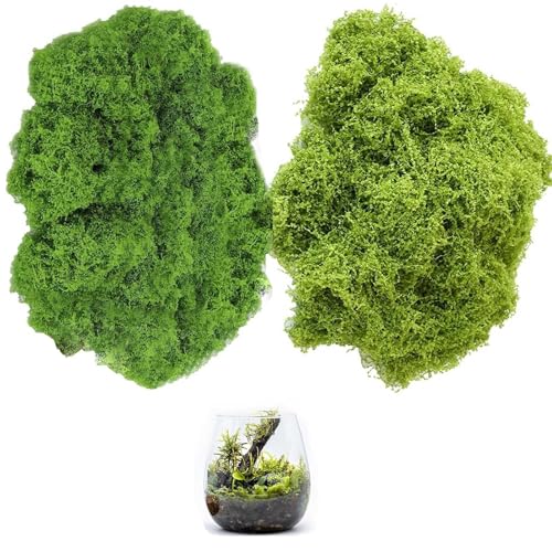 2 Piezas Musgo Artificial, Musgo, Musgo Natural, Musgo Falso Decorar, Musgo Manualidades, Musgo Artificial para Decorar, Musgo Artificial Decoracion, Musgo Artificial IKEA, Dos Colores, 200 g