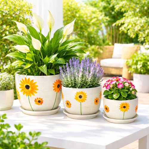 Image of Xtore Charming Sunflower Ceramic Planter Pots Set of 3 with Drainage Trays for Home & Garden Decor l Flower Pots for Indoor Plants, Balcony, Living Room & Office Styling (Multicolor)