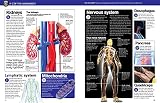 The Big Book of the Human Body