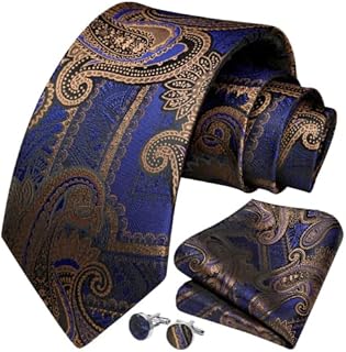 HISDERN Ties For Men Paisley Stripe Tie and Handkerchief Cufflink Sets Men's Necktie Pocket Square Sets For Formal Wedding Business