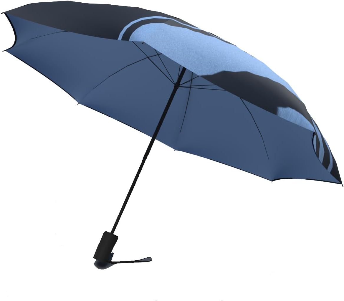 Jumble & Co Compact Waterproof Automatic Umbrella