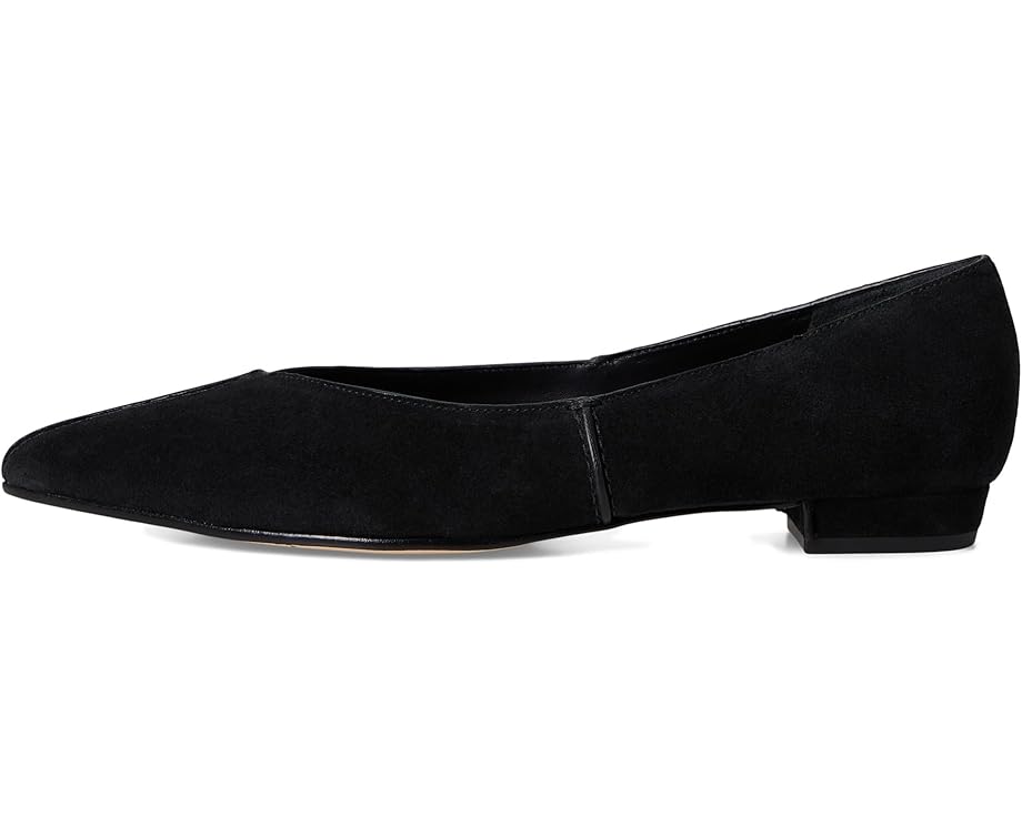 Bernardo Lana - Left View