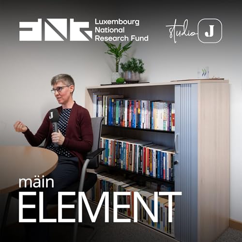 Page de couverture de Mäin Element