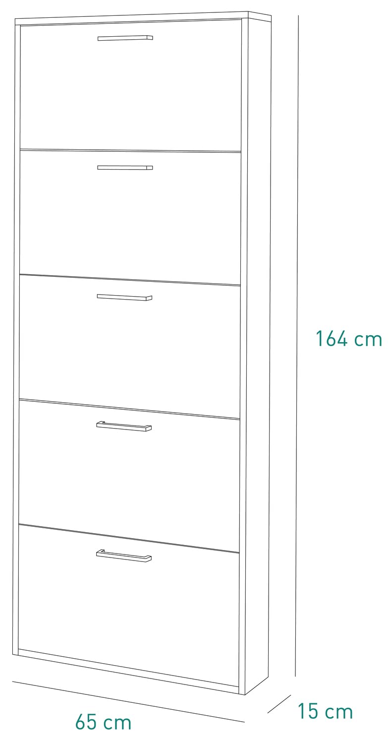 Composad | Scarpiera della Linea FACILE con 5 Ribalte fino a 12 Paia di Scarpe, Scarpiera Salvaspazio, Slim, (LxAxP) 65,10x163,60x15 cm, Colore Rovere Sonoma, Made in Italy