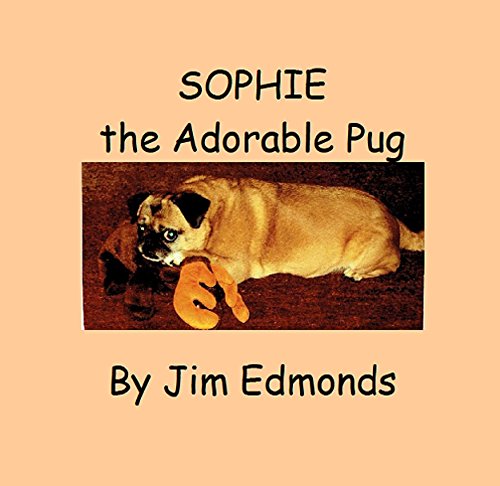 Sophie the Adorable Pug