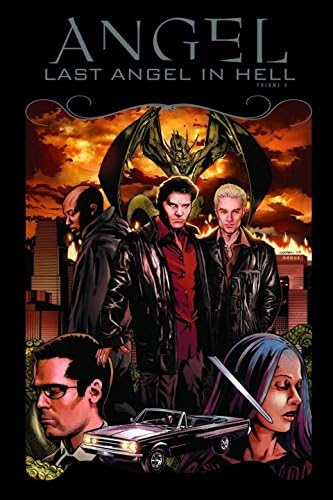 Angel, Vol. 6: Last Angel in Hell Hardcover – May 25, 2010