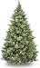 National Tree 6.5 Foot Carolina Pine Tree with 650 Clear Lights