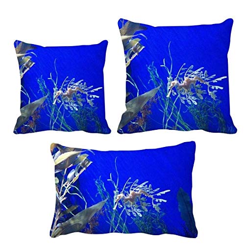 Housse de coussin ocean hippocampe bleu DIYthinker pour canape - 2