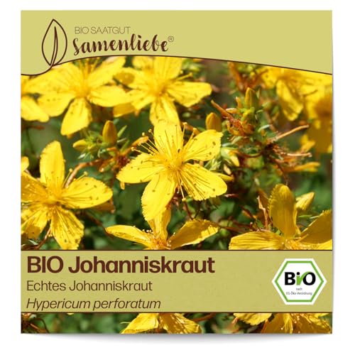 Samenliebe BIO Johanniskraut Samen alte Sorte Echtes...