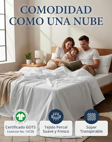 La Mejor Lista de Juegos de sábanas y fundas de almohada los mejores 5. 21 Juegos de sábanas y fundas de almohada marca LANE LINEN (3)