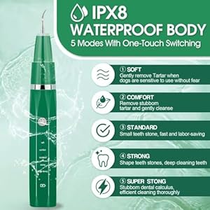 Dog teeth cleaning kit with pet oral spray dog dental care plaque remover for teeth cleans and relieves tooth sensitivity universal for dogs cats dark green  urban country home decor