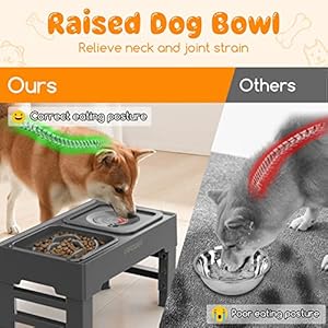 URPOWER 2-in-1 Elevated Slow Feeder Dog Bowls with No Spill Dog Water Bowl 4 Height Adjustable Raised Dog Bowl Non-Slip Dog Food and Water Bowls with Stand for Small Medium Large Dogs, Cats and Pets