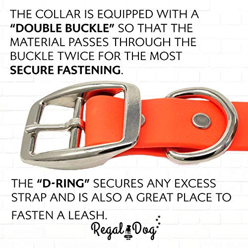 Collier de chien imperméable orange pour stopper les mauvaises odeurs de boue - 7