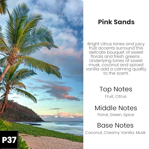 Image of C Classy Hanging Car Air Freshener 2 Pack, Pink Sands Essential Oil Diffuser, Long-Lasting Fragrance, Cute Glass Bottle Car Accessories for Women & Men, Made in USA