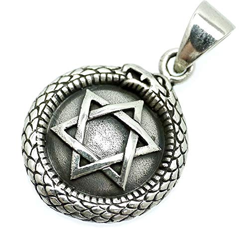 [シルバーワン] シルバー925 ウロボロスの蛇 ダビデの星 ペンダントトップ メンズ b4