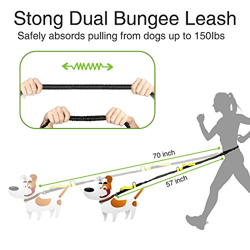 Guinzagli per cani, guinzaglio per cani