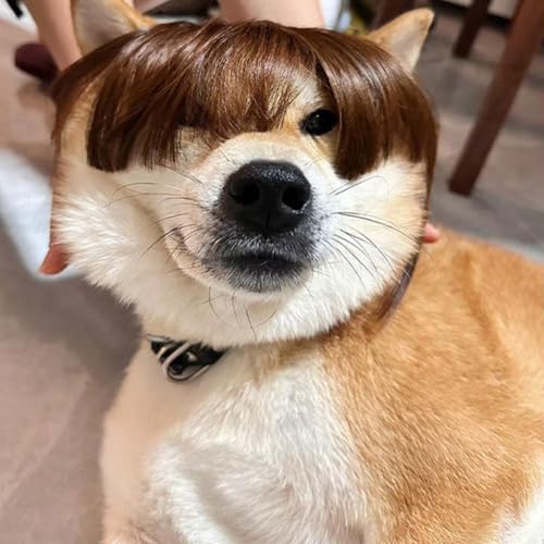 L  L蕨  ybgEBbO ʔybgRXvEBbO  ybg O Jc ϑObY a p[eB[ ObY Be 