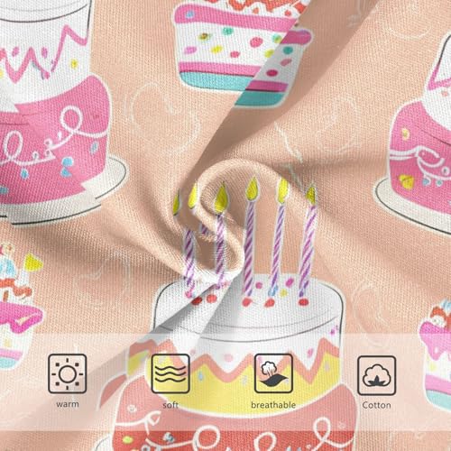 Colorful Birthday Cakes Candles Toddler Girls's Underwear 2T 202c11923
