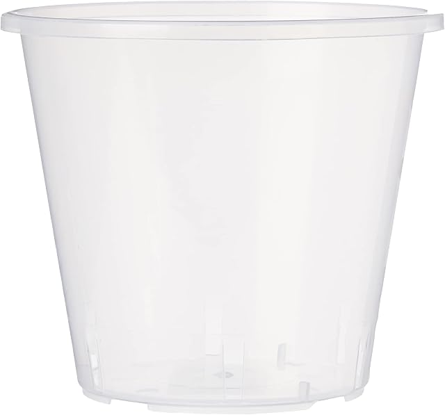 Stewart 2646008 11 cm Clear Pot - Clear