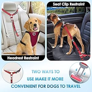 SlowTon Dog Seat Belt for Car, 2 Pack Dog Car Harness Seatbelt Adjustable with Elastic Bungee Buffer, 2 in 1 Pet Car Leash Headrest Restraint Dog Reflective Safety Tether (Red, Headrest+Clip) SlowTon Dog Seat Belt for Car 2 Pack Dog Car Harness Seatbelt Adjustable with Elastic Bungee Buffer 2 in 1 Pet Car Leash Headrest Restraint Dog Reflective Safety Tether Red HeadrestClip