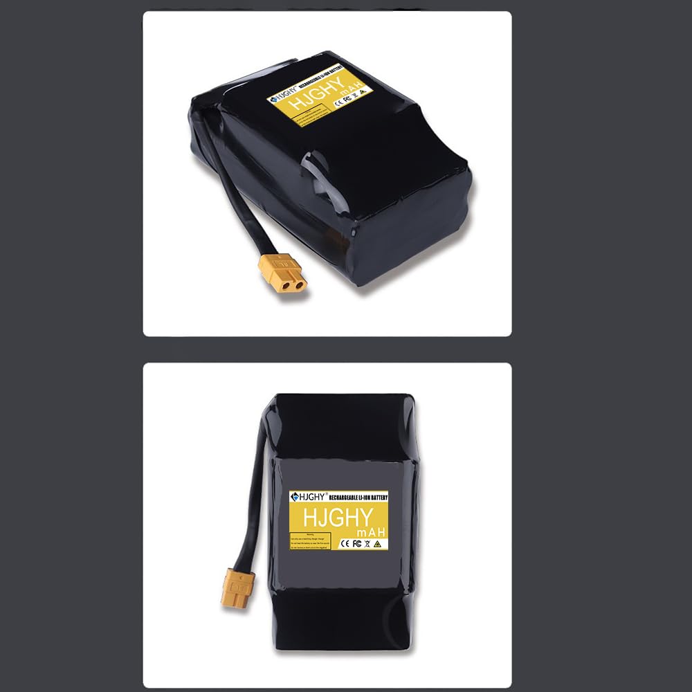 Batterie 36V 4,4Ah pour Hoverboard, Scooter électrique Auto-équilibré, Pack de Batteries Lithium 36 Volts pour Moteur de Scooter à Deux Roues avec X60