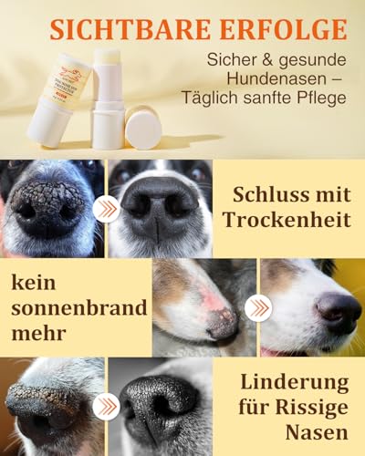 Hundenasen-Sonnenschutz Balsam mit SPF25 – Sheabutter & Kokosöl Formel – Schutz und Pflege bei trockenen/rissigen Nasen – Für alle Hunderassen geeignet