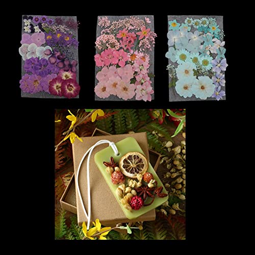 Flores Secas Naturales para Manualidades DIY miniatura 4