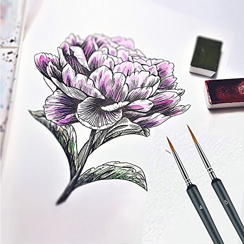 Morkia Détail Pinceau, 10 pcs pour la Peinture à L'aquarelle Gouache et Acrylique,Ldéal pour des Minutieux et Finition – vue 3
