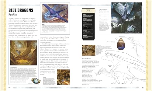 Image of Dungeons & Dragons The Book of Dragons