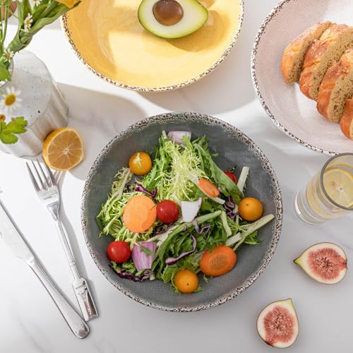 ZAROCRUS Melamine Pasta Bowls Set,6 Piece 9.25 inch Vintage Melamine Pasta/Salad/Ramen/Noodle/dinner/Fruit Bowls, Set of 6,Unbreakable Large Shallow Serving Bowls set,Cool Grey…