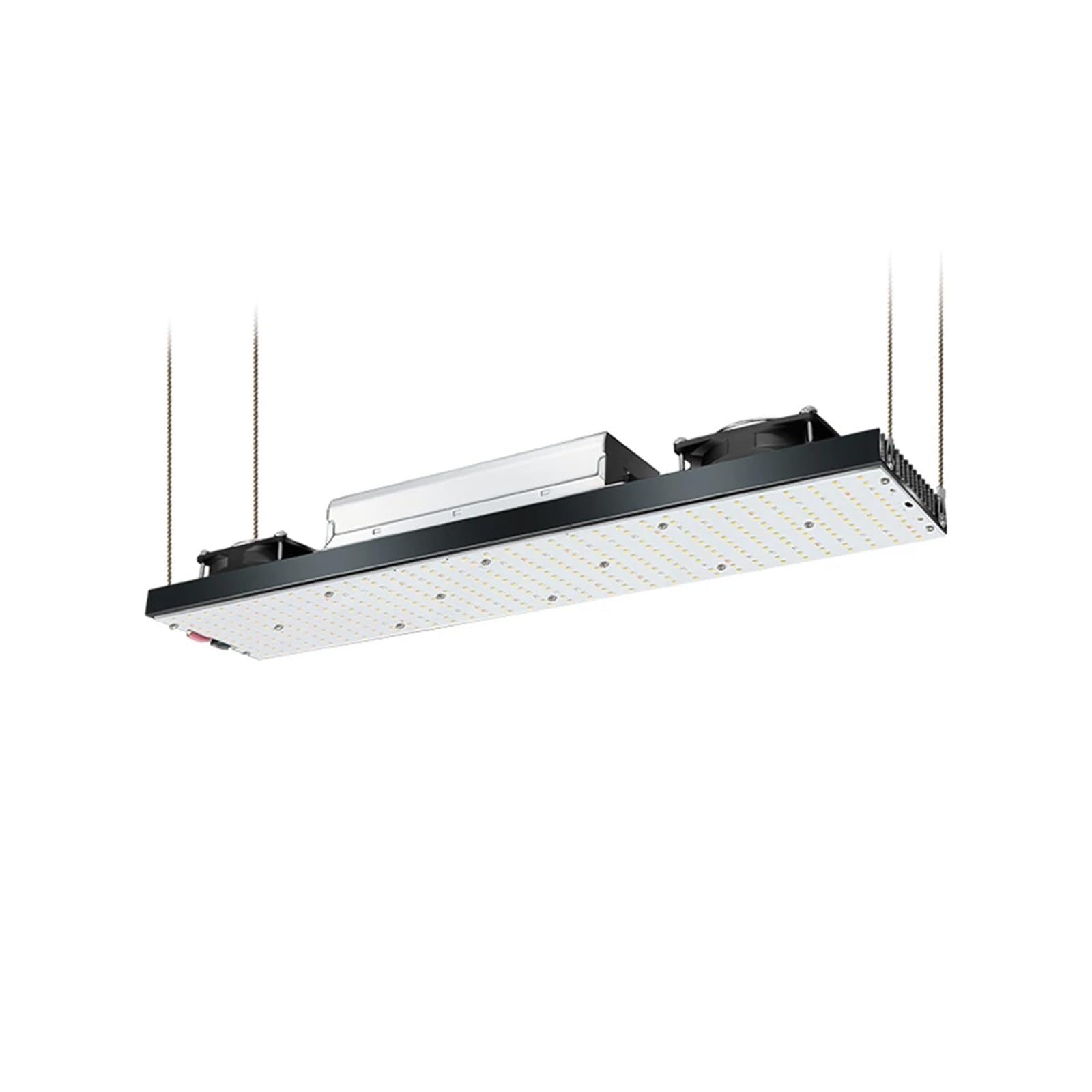 Lampe de croissance LED à intensité variable LM561C S6, lampe SMD spectre complet, éclaira panneau plantes d'intérieur,Économie d'énergie(5000K,Dimmable)