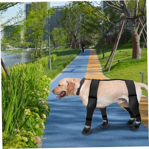 Bottines d'hiver pour chien avec sangle réglable taille M