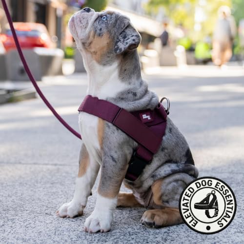 Image of Dog Friendly Co. Dog Harness for Large Sized Dogs (Burgundy, Extra Large)