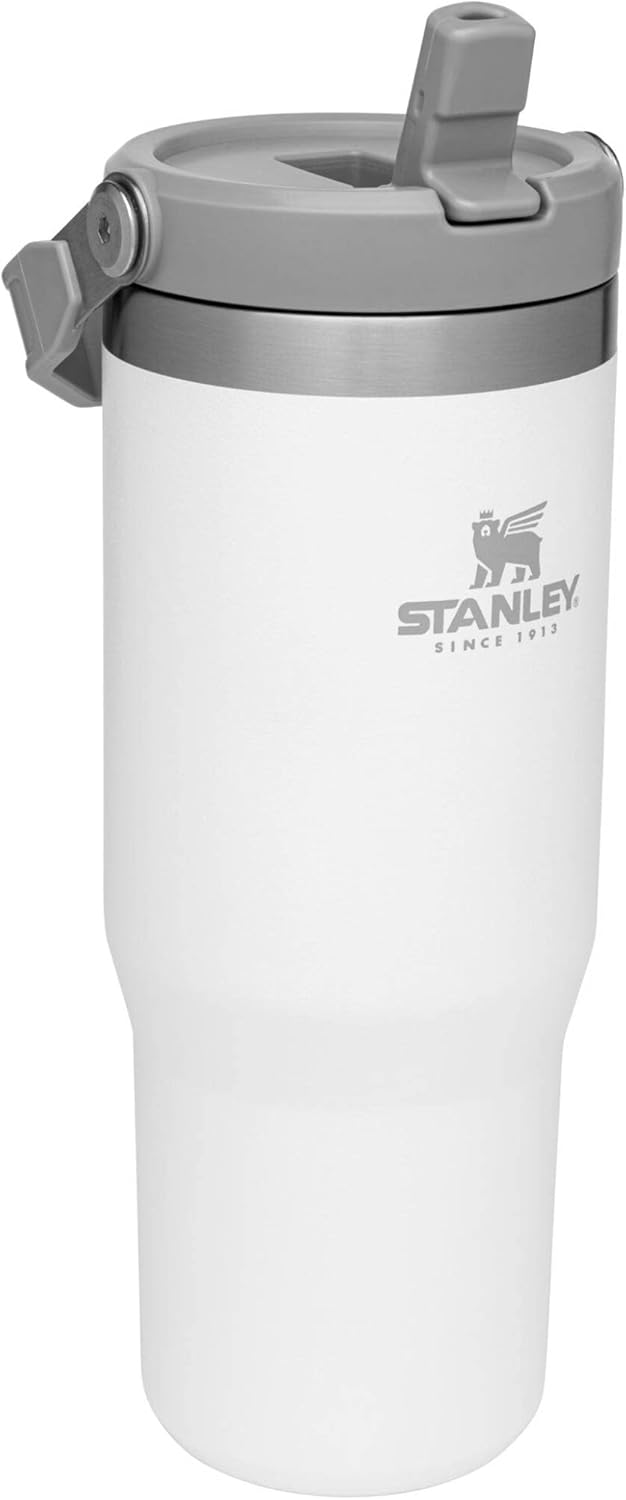 Stanley IceFlow Flip Straw Tumbler with Handle 30 oz | Twist On Lid and Flip Up Straw | Leak Resistant Water Bottle | Insulated Stainless Steel |BPA-Free | Polar