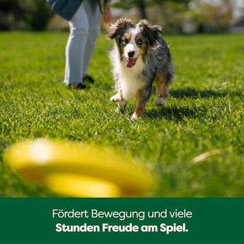 Earth Rated Fliegende Ring, EIN interaktives Frisbee für ausgewachsene Hunde und Welpen, versinkt im Wasser Nicht, klein, gelb