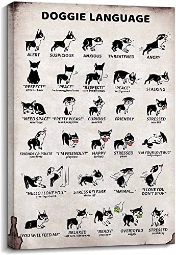 Correlation Between Teeth and Organs Laminated Anatomy Chart